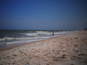 image taken