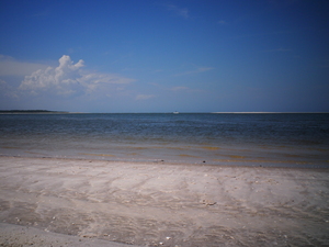 image taken