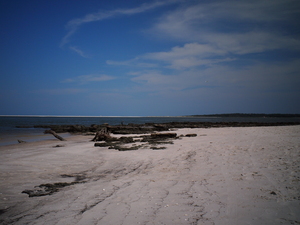 image taken
